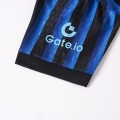 DUMFRIES #2 Inter Milan Home Match Jersey Player Version 2025/26